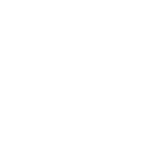National Science Foundation